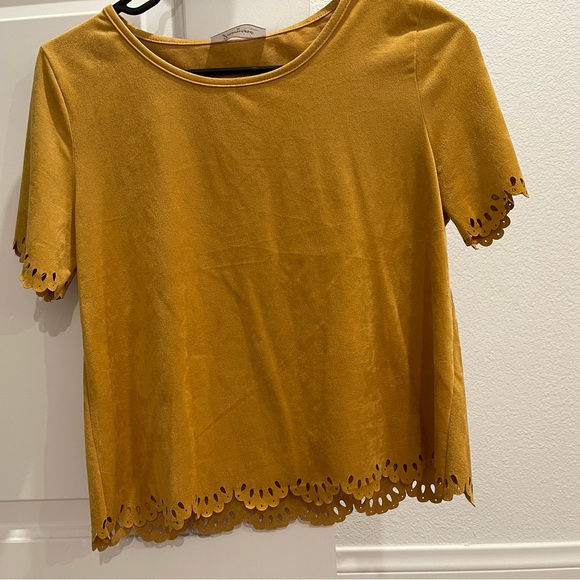 Jasmine brand Faux suede crop top size Medium - Picture 3 of 9